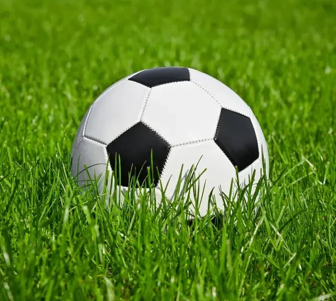 Soccer ball in grass